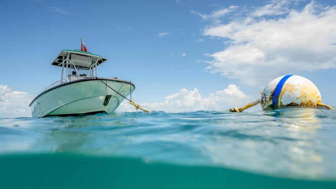 mooring buoy