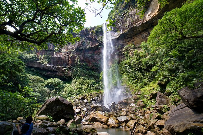 Iriomote