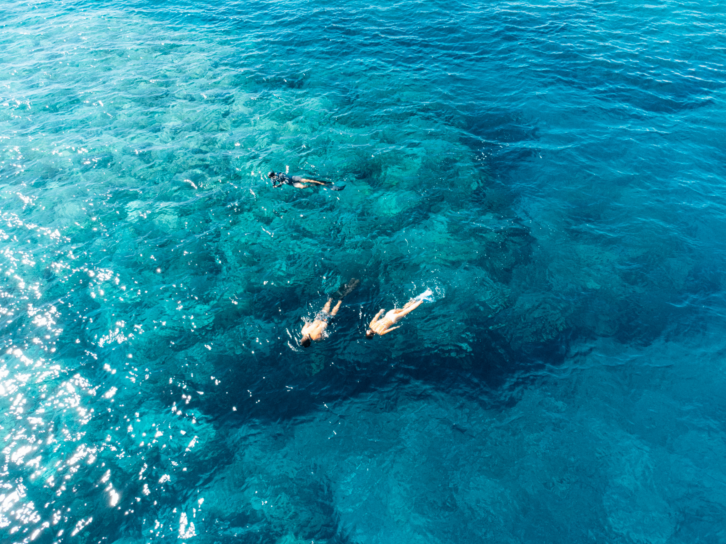 Guests snorkelling on tour in Okinawa