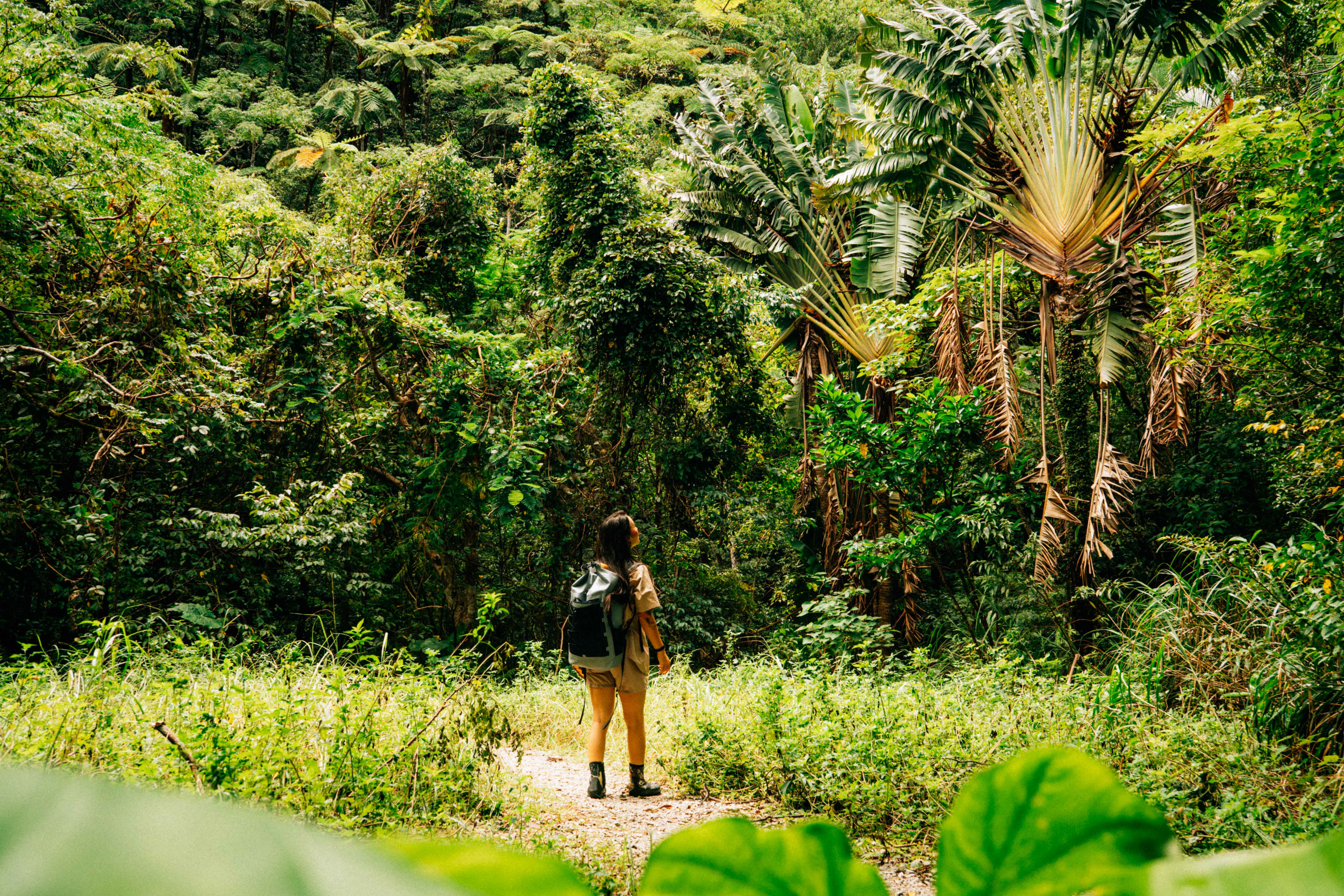 Northern Okinawa Tour