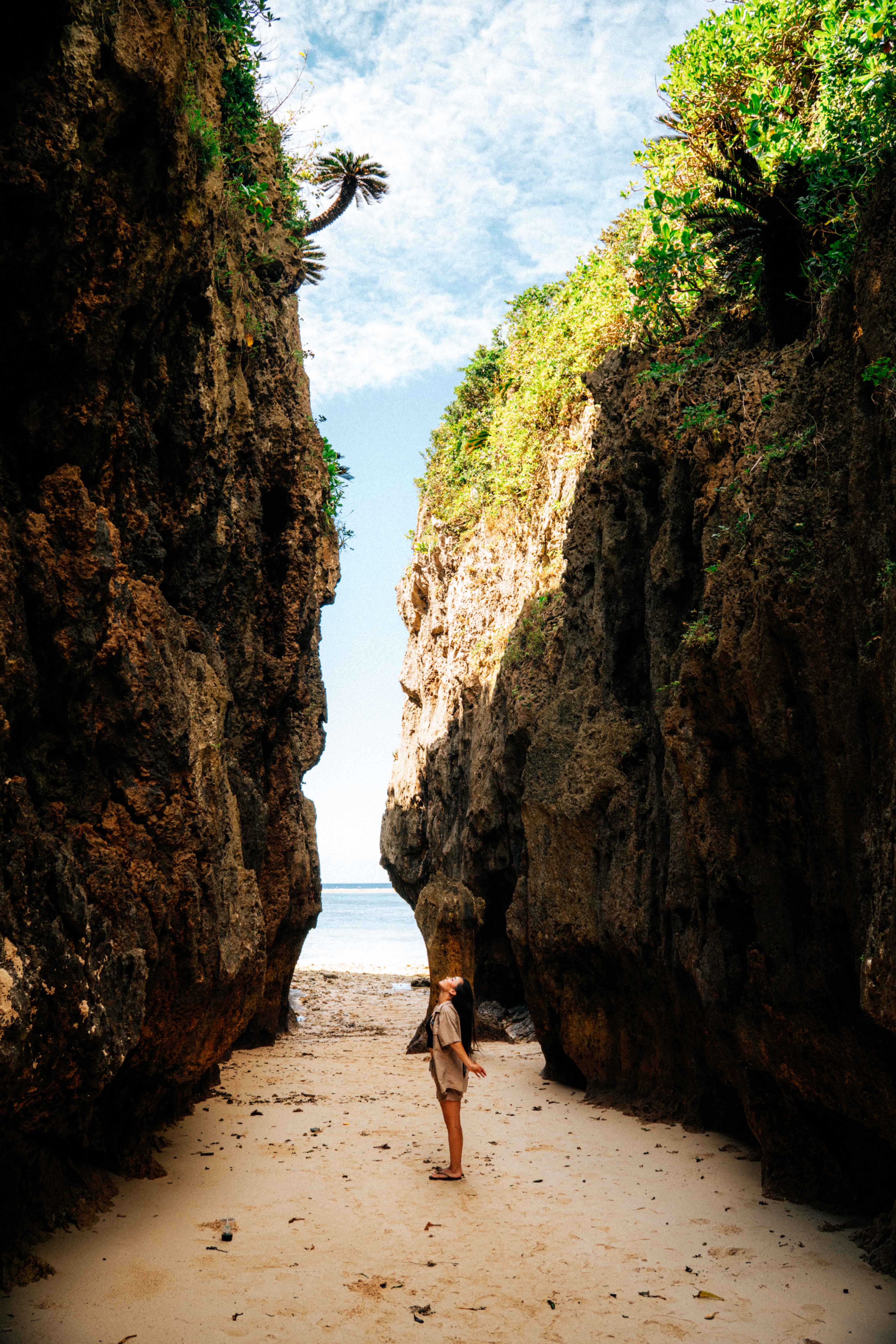 Northern Okinawa Tour