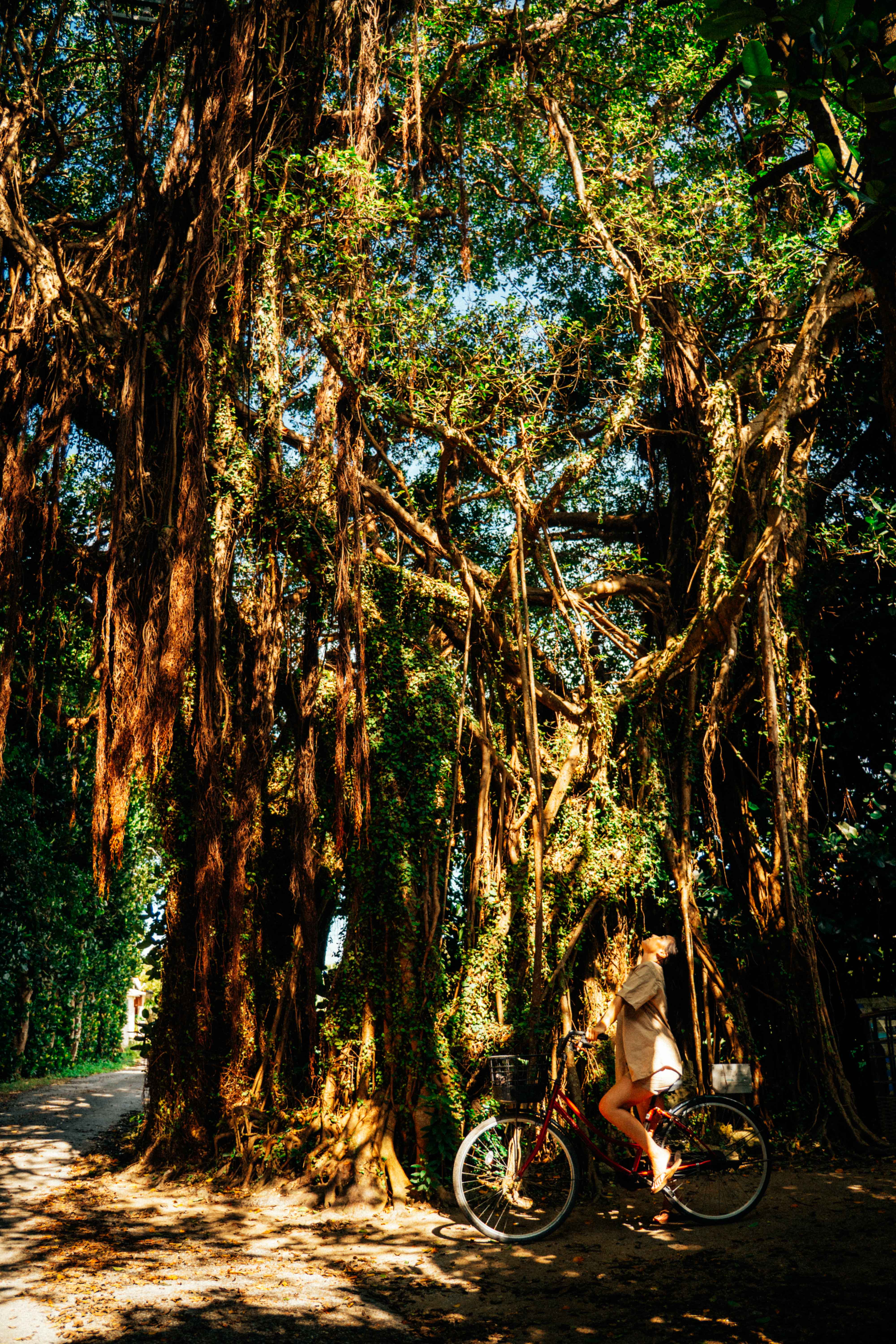 Northern Okinawa Tour