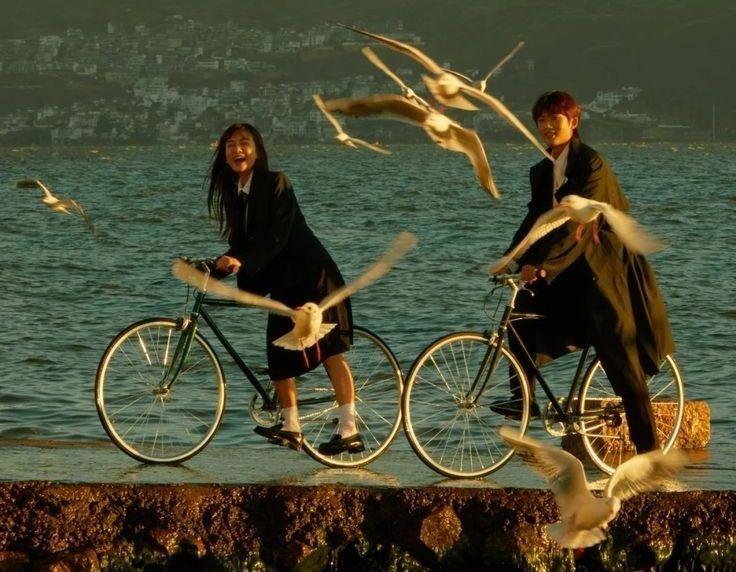 bike