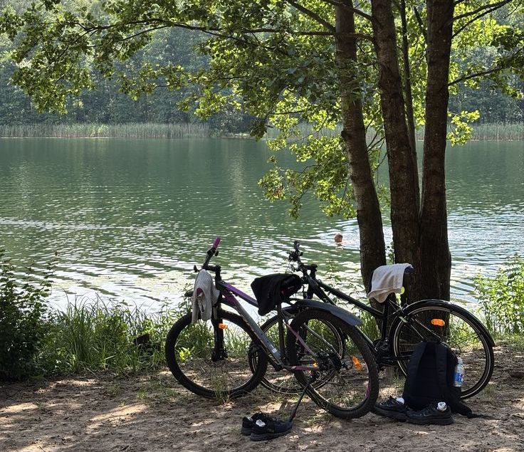 bike 3