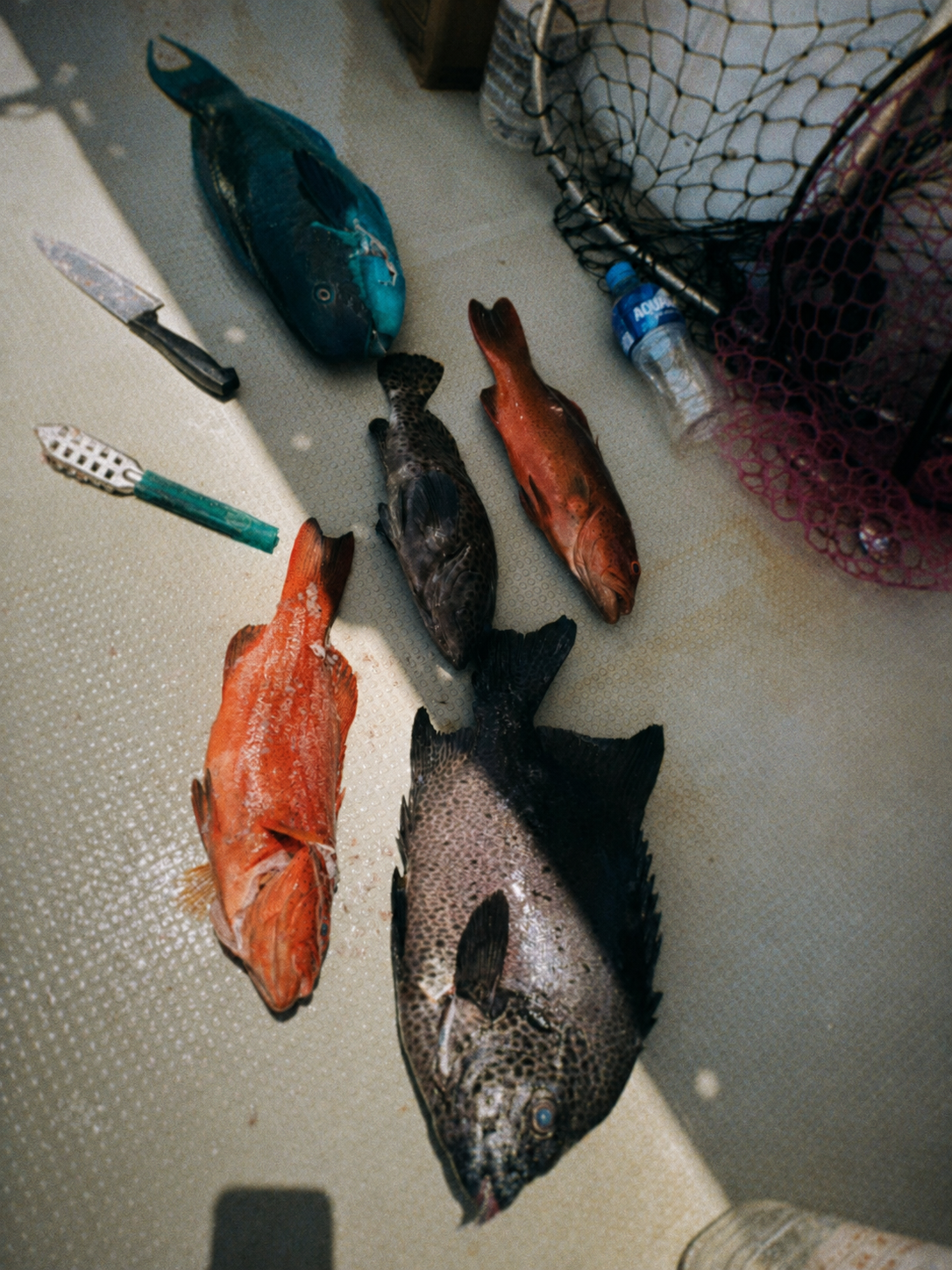Fishing Tour in Okinawa