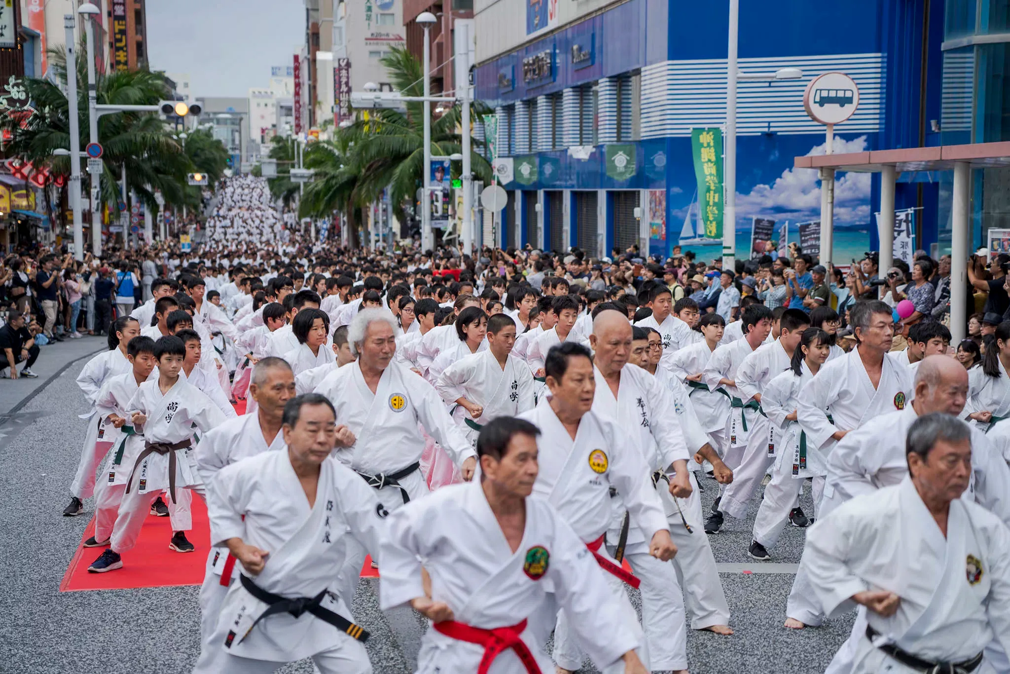 karate day
