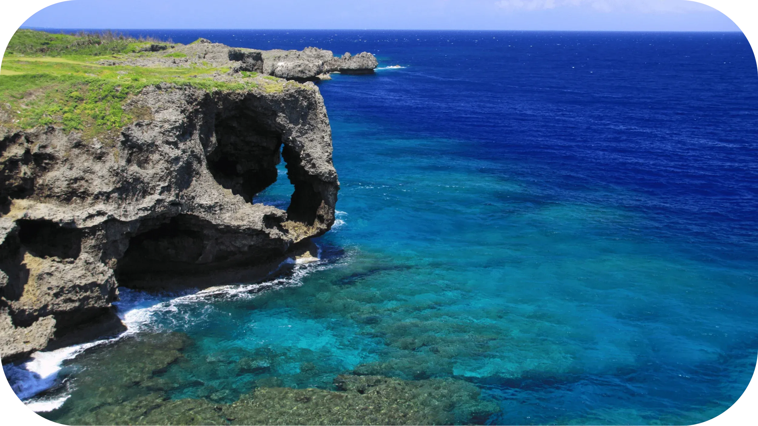 elephant rock