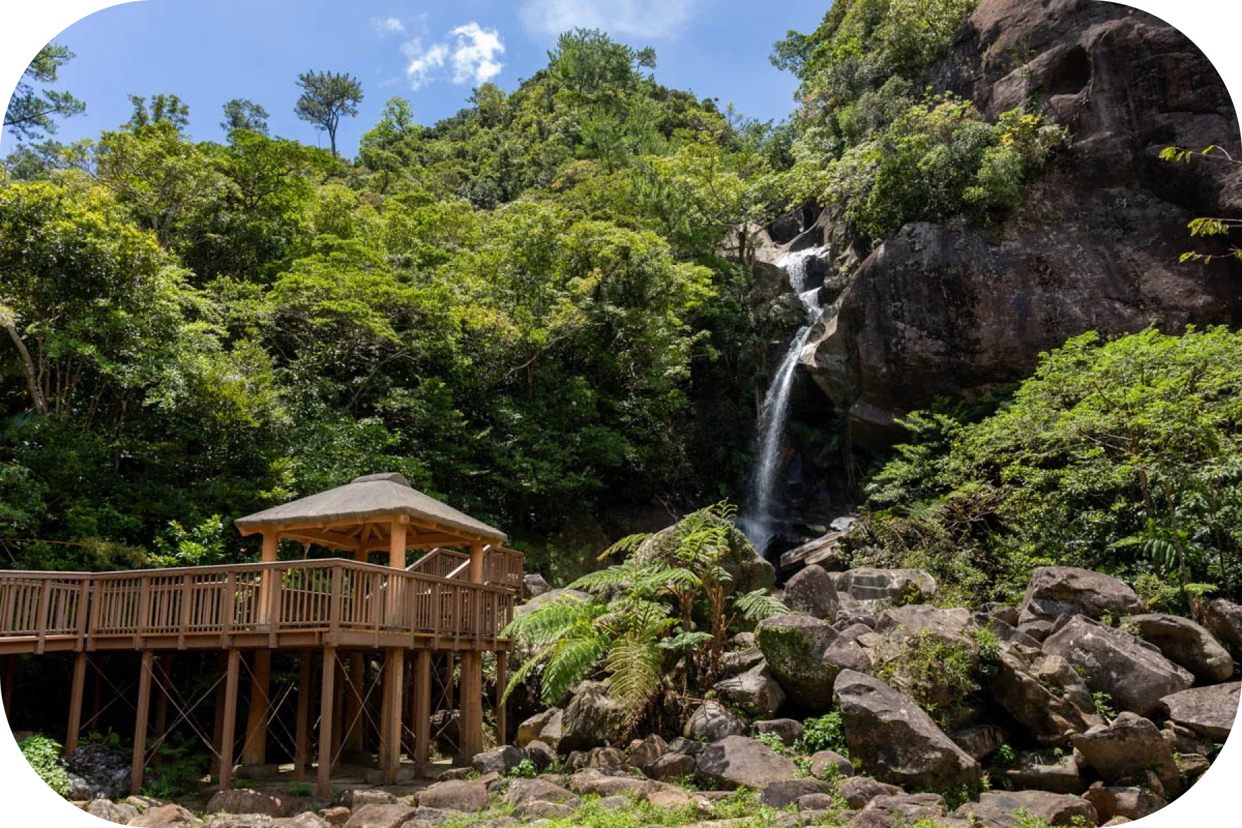 oki nago fall