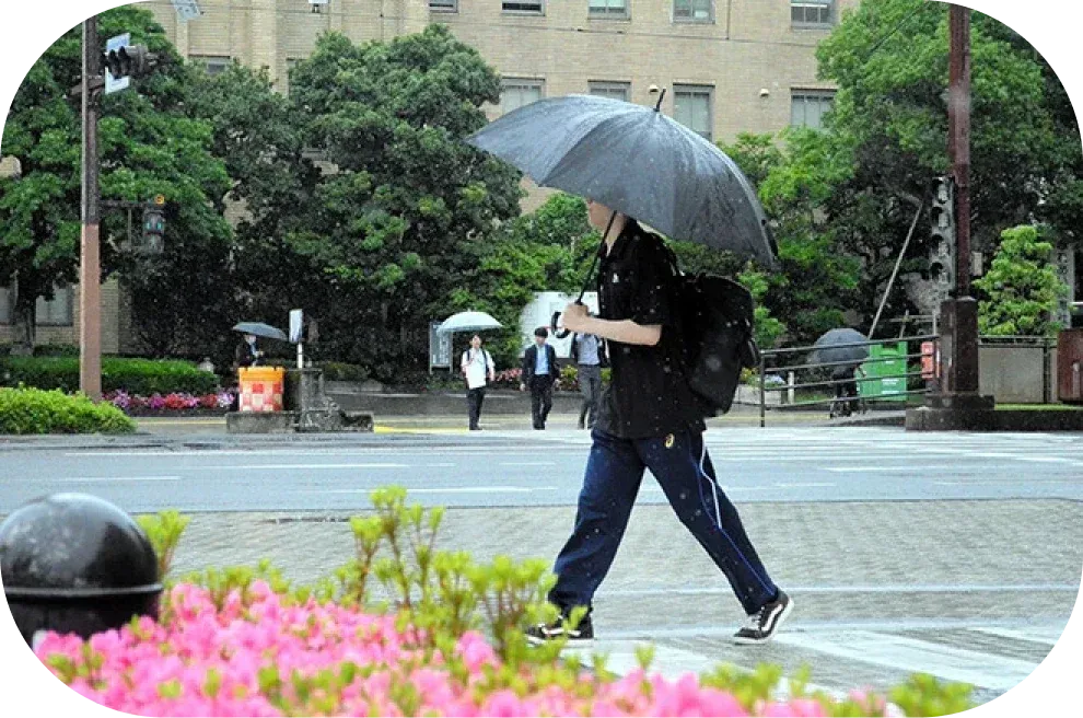 rain