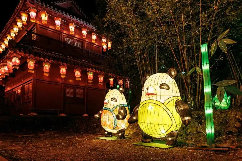 panda lantern