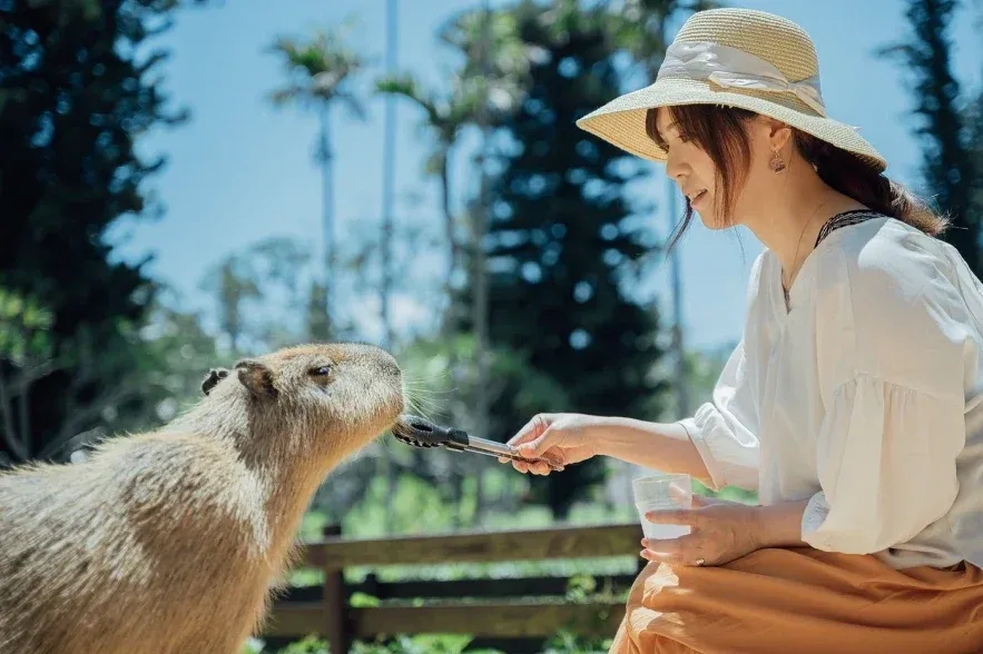 capybara