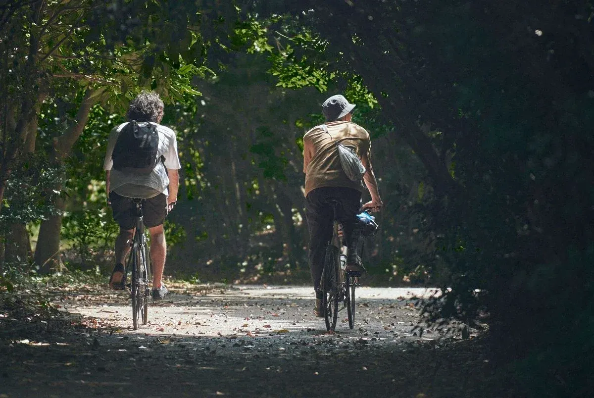 bike in the forest