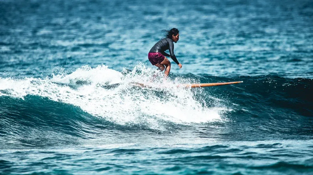 surf
