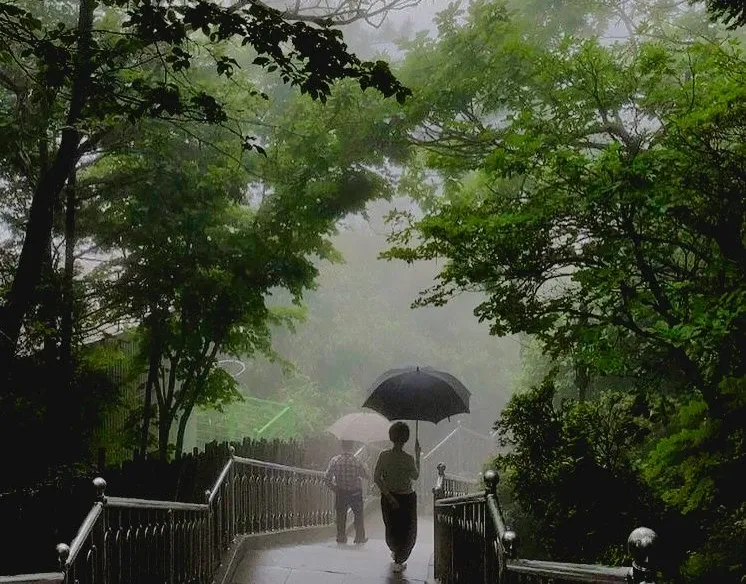 rain