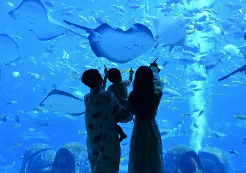family at aquarium