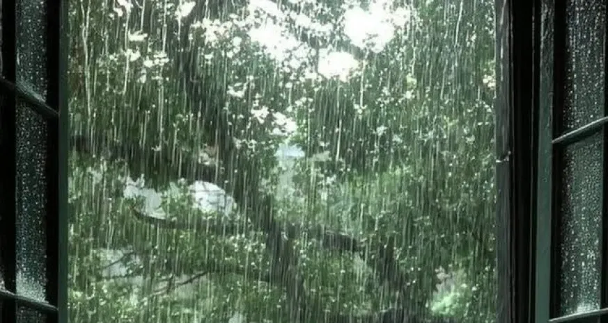 Typhoon