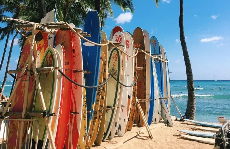 surf board
